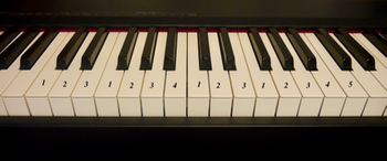 P1240145.png